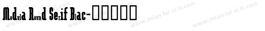 Modula Round Serif Blac字体转换